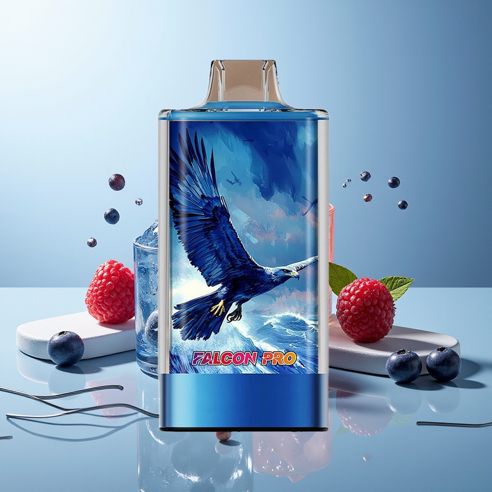JNR Falcon Pro 28000 Modrcina Kisla Malina 30ml