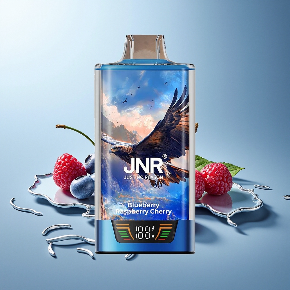 JNR Falcon Pro 28000 Pihalnik Borovnica Malina Češnja USB Type-C
