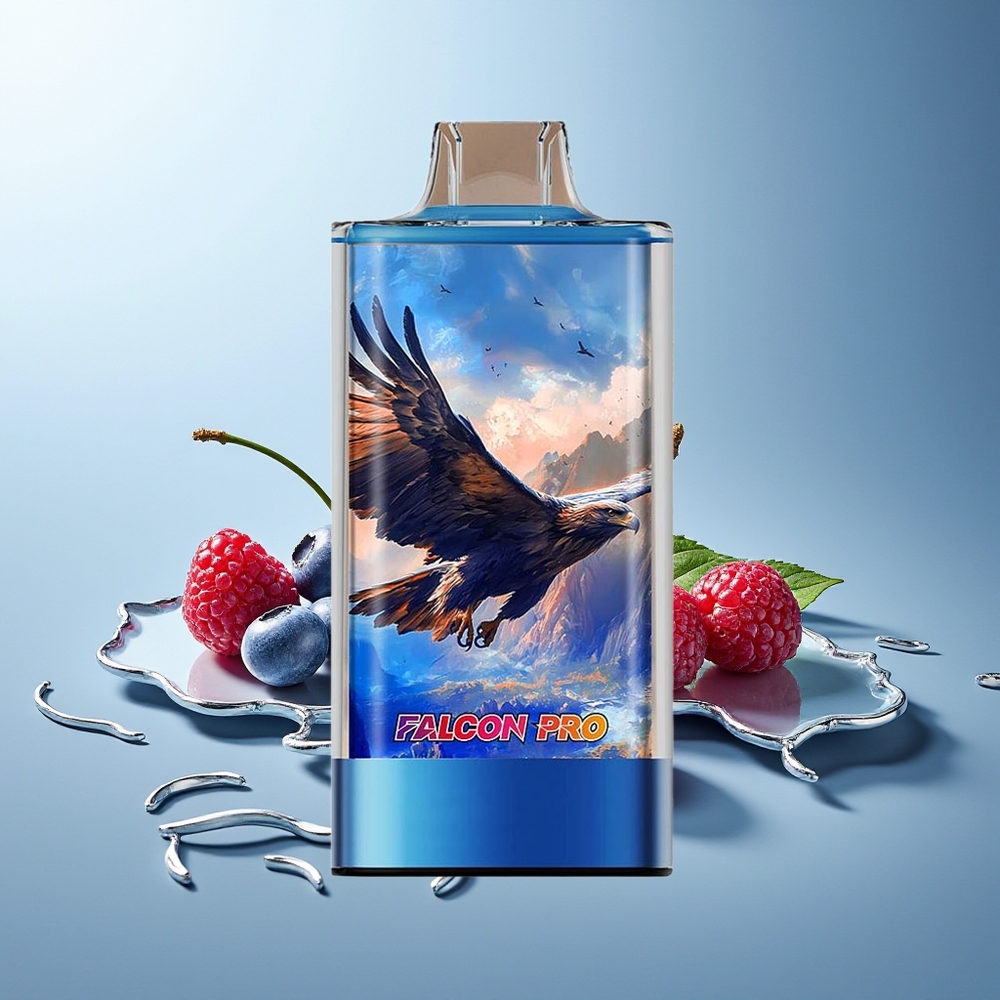 JNR Falcon Pro 28000 Pihalnik Borovnica Malina Češnja USB Type-C
