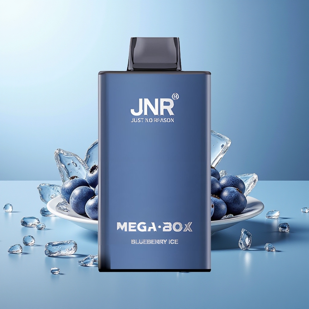 JNR Mega Box 25000 Pihov Dispozabilni Vape Borovnica Led