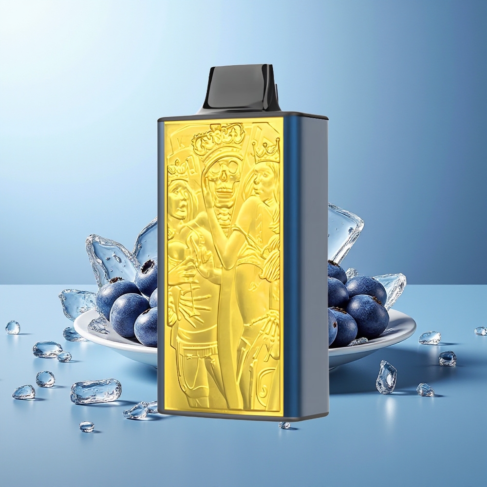 JNR Mega Box 25000 Pihov Dispozabilni Vape Borovnica Led