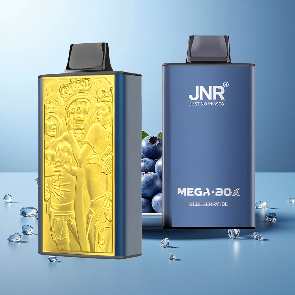 JNR Mega Box 25000 Pihov Dispozabilni Vape Borovnica Led
