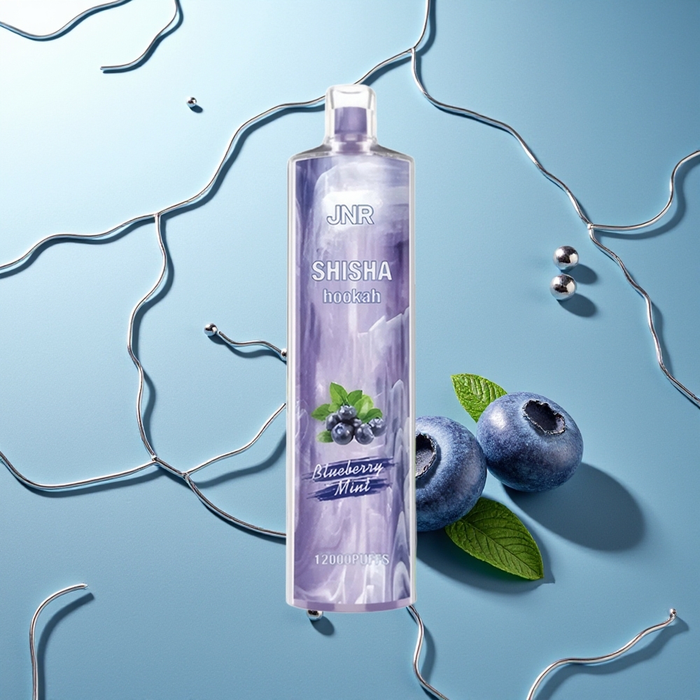 JNR Shisha Hookah 12000 Pufi Borovnica Meta