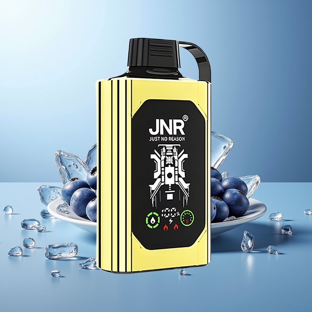 JNR Shisha Hookah Box 20500 Puffov Dispozabilni Vape Borovnica Led