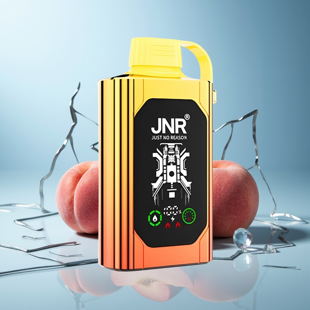 JNR Shisha Hookah Box 20500 Puffs Sodni Breskve