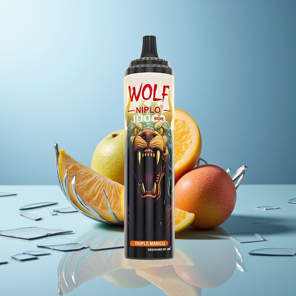 JNR Wolf Niplo 10000 Pufov Trojni Mango Type-C Hitro Polnjenje