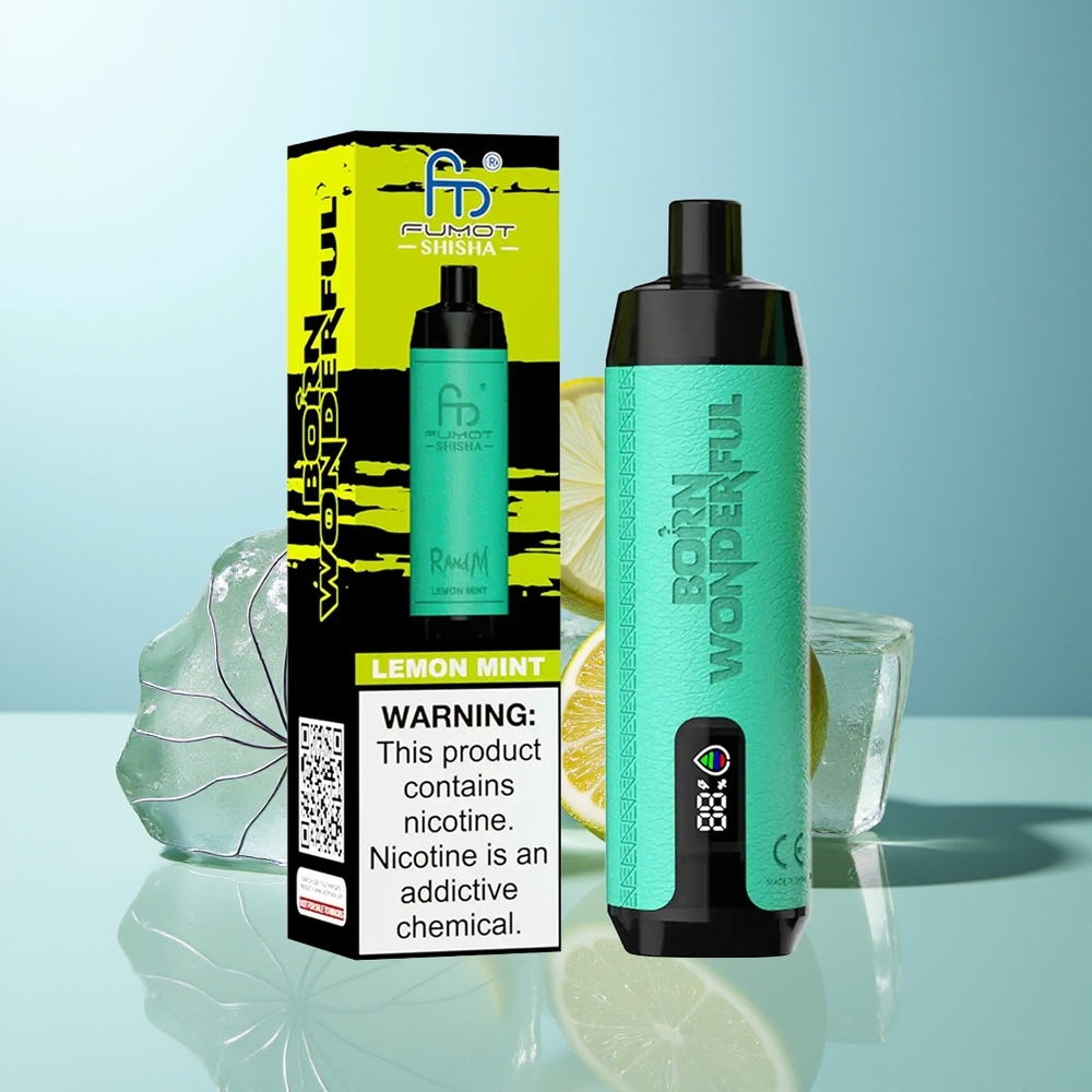 RandM Fumot Shisha 10000 Puff Limeta Meta Drugo