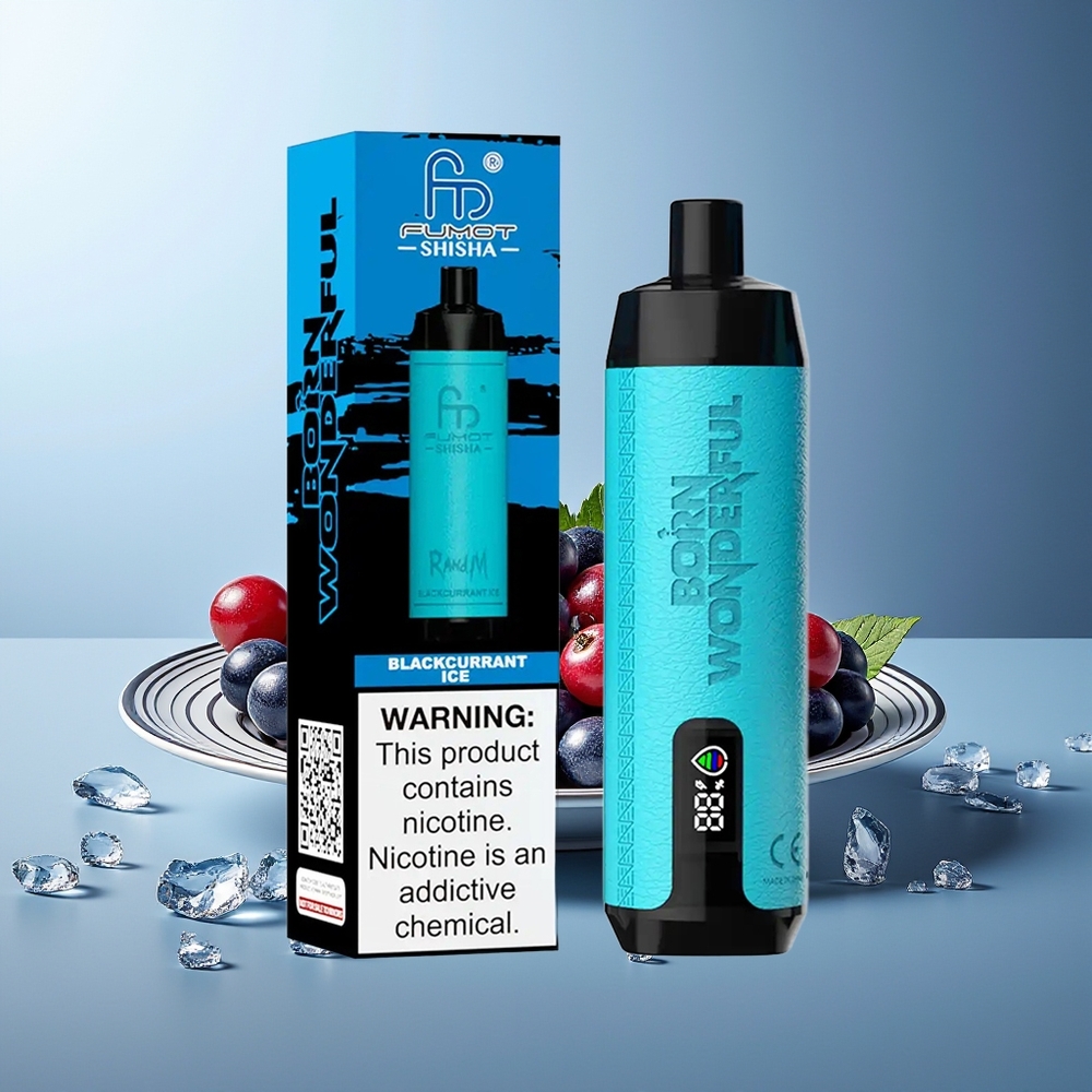 RandM Fumot Shisha 10000 Puff Črni Robidan Led Kombinacija Tip-C