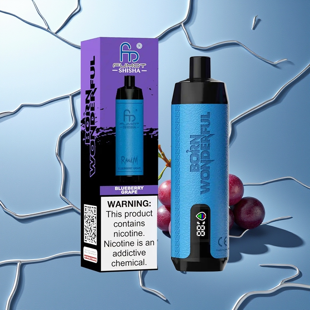 RandM Fumot Shisha 10000 Puffov Borovnica Grozdje 18ml Prednapolnjen