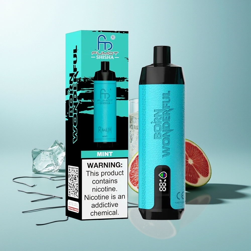 RandM Fumot Shisha 10000 Puffov E-cigareta z Mehursko Tuljavo Mint