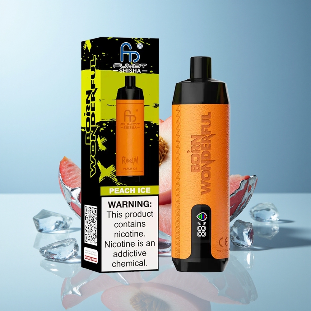 RandM Fumot Shisha 10000 Puffov Enkratna Vape Breskev Ledena z LED Indikatorjem