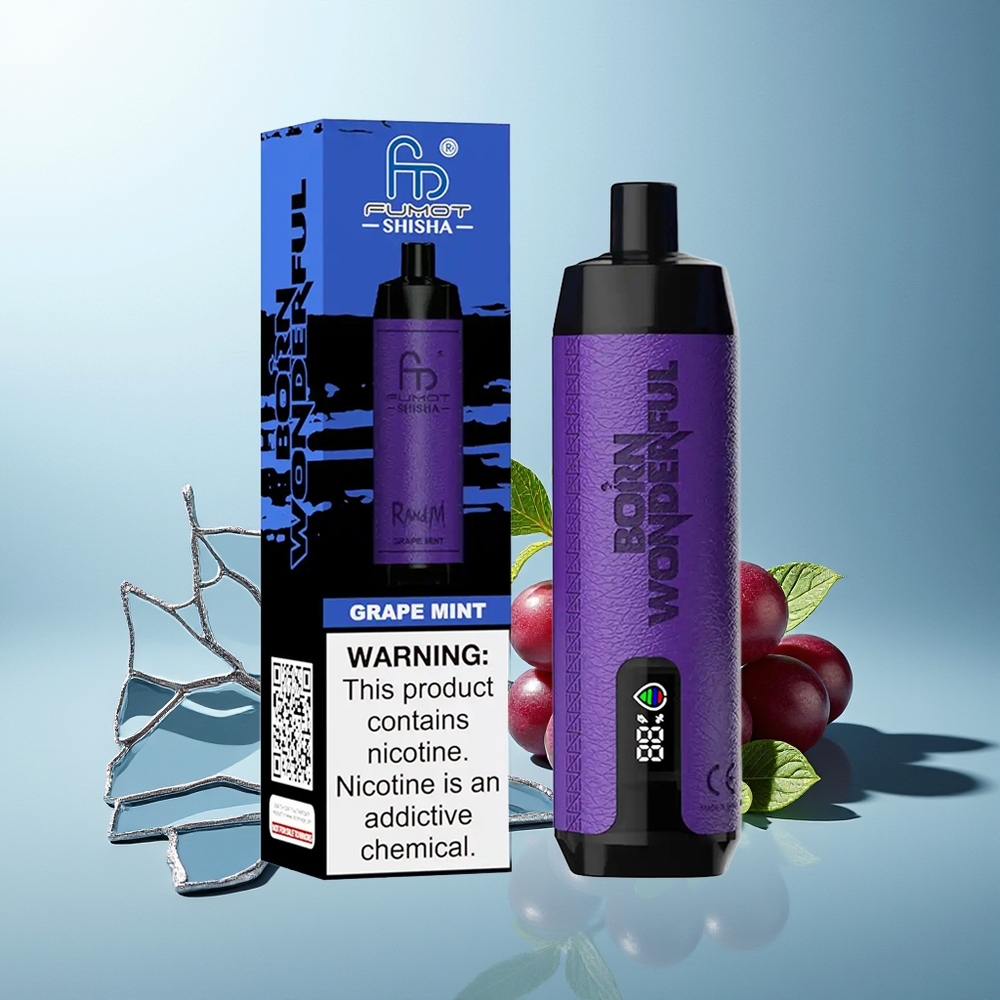 RandM Fumot Shisha 10000 Puffs Enkratna Vape Grozdje Meta + LED Indikator