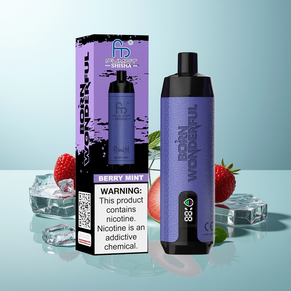 RandM Fumot Shisha 10000 Puffs Sodobna Električna Cigareta Jagoda Meta
