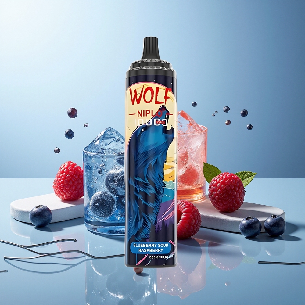 JNR Wolf Niplo 10000 Pufi Borovnica Kisla Malina Type-C Hitro Polnjenje