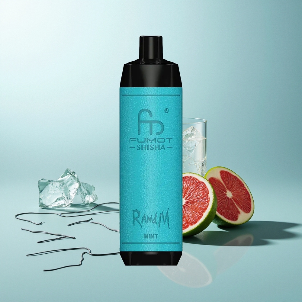 RandM Fumot Shisha 10000 Puffov E-cigareta z Mehursko Tuljavo Mint